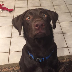 Meet your Posher, Jordan